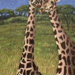Giraffes 2025