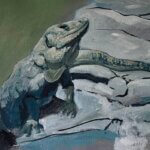 2026 Mexico "Iguana"