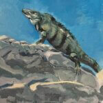 2026 Mexico "Iguana"