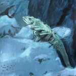 2026 Mexico "Iguana"