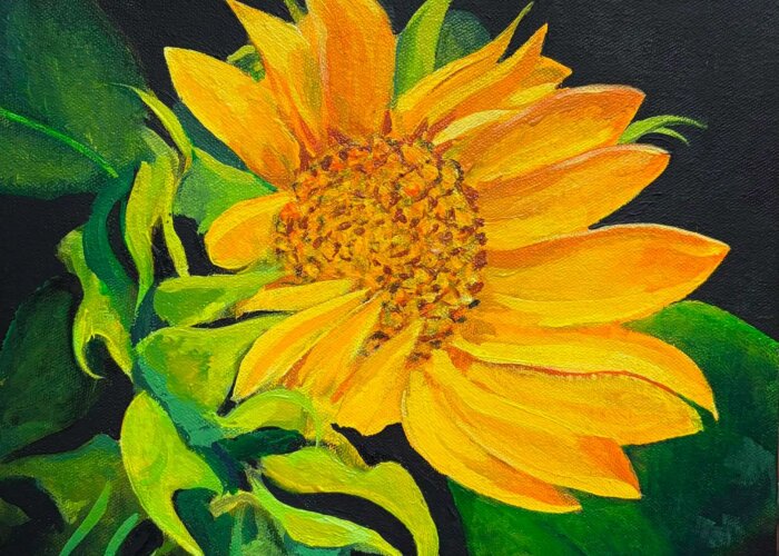 RobertPointer_Sunflower2026
