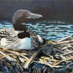 Loon on Nest 9" x 12" $300