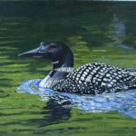 RobertPointer_Loon2026