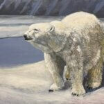 RobertPointer_PolarBear2026