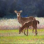 deer_2026