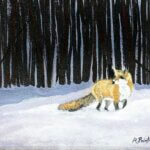 fox_forest