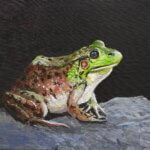 green_frog2026