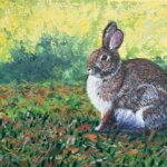 rabbit2