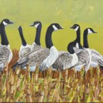 RobertPointerCanadaGeese2026