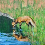 fox_drink_2026